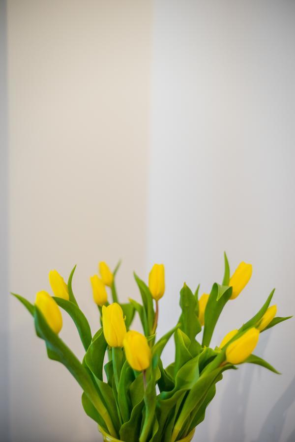 Apartament Zacisze Wawelofts クラクフ エクステリア 写真