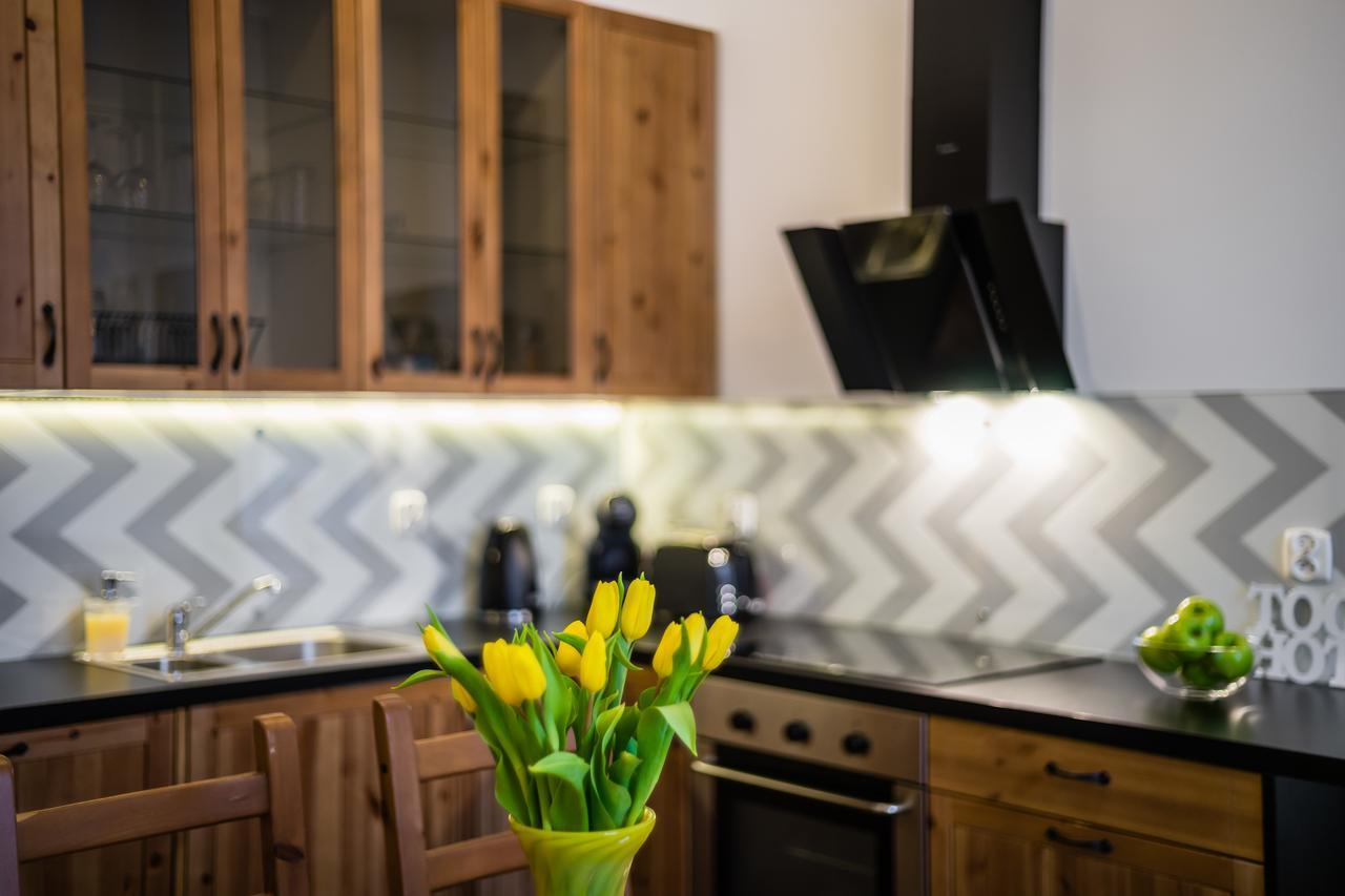 Apartament Zacisze Wawelofts クラクフ エクステリア 写真
